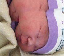 广州董先生喜得一子