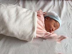 子宫受损代妈助孕 喜获健康男宝宝